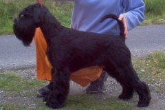 CHRISTINE-od-Dalajského-potoka
