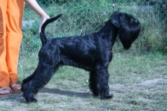 CHRISTINE-od-Dalajského-potoka