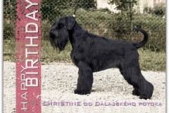 christine57