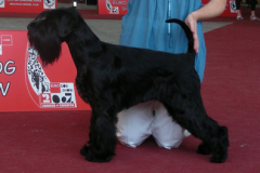 CHRISTINE-od-Dalajského-potoka