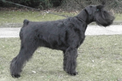 collette114