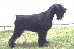 collette116