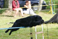 CORAN od Dalajského potoka