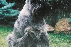 FINN-z-Kopce-Vítkova