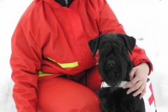 genesis118