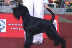 kersee17