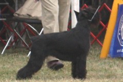 kitrii7
