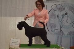 lavender-year-junior-winner