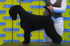 prestige22