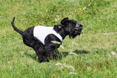 tiggycoursing7