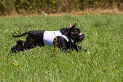 tiggycoursing9