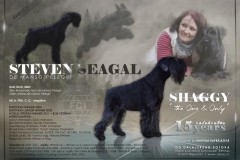 shaggy15brd