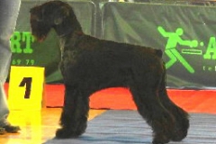 shaggy24