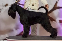 VALEGRO-od-Dalajského-potoka