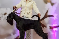 valegro10