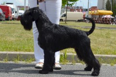 valegro4