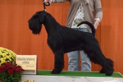 valegro5