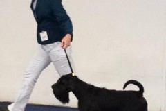 valegro6
