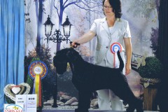 valegro8