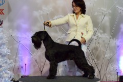 valegro9