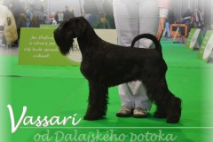 vassari3