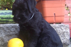 charlie3