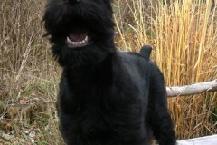 charmant9