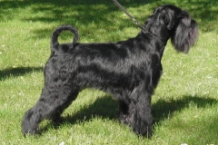 henriette104