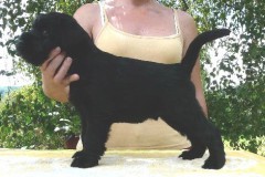 kaipo1