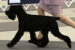 merlin4