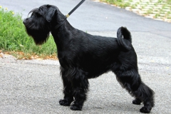 montana4