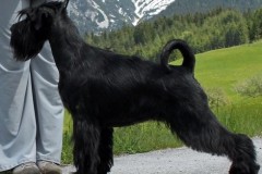 montana7