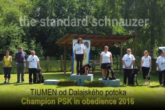 tiumen8