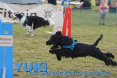 yuki8